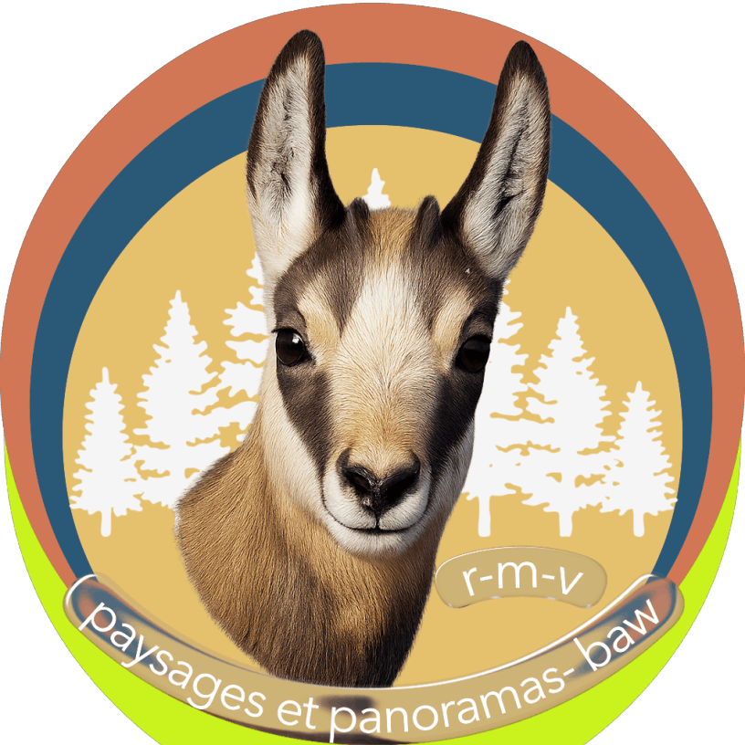 les chamois  du massif de la Vanoise à protéger !